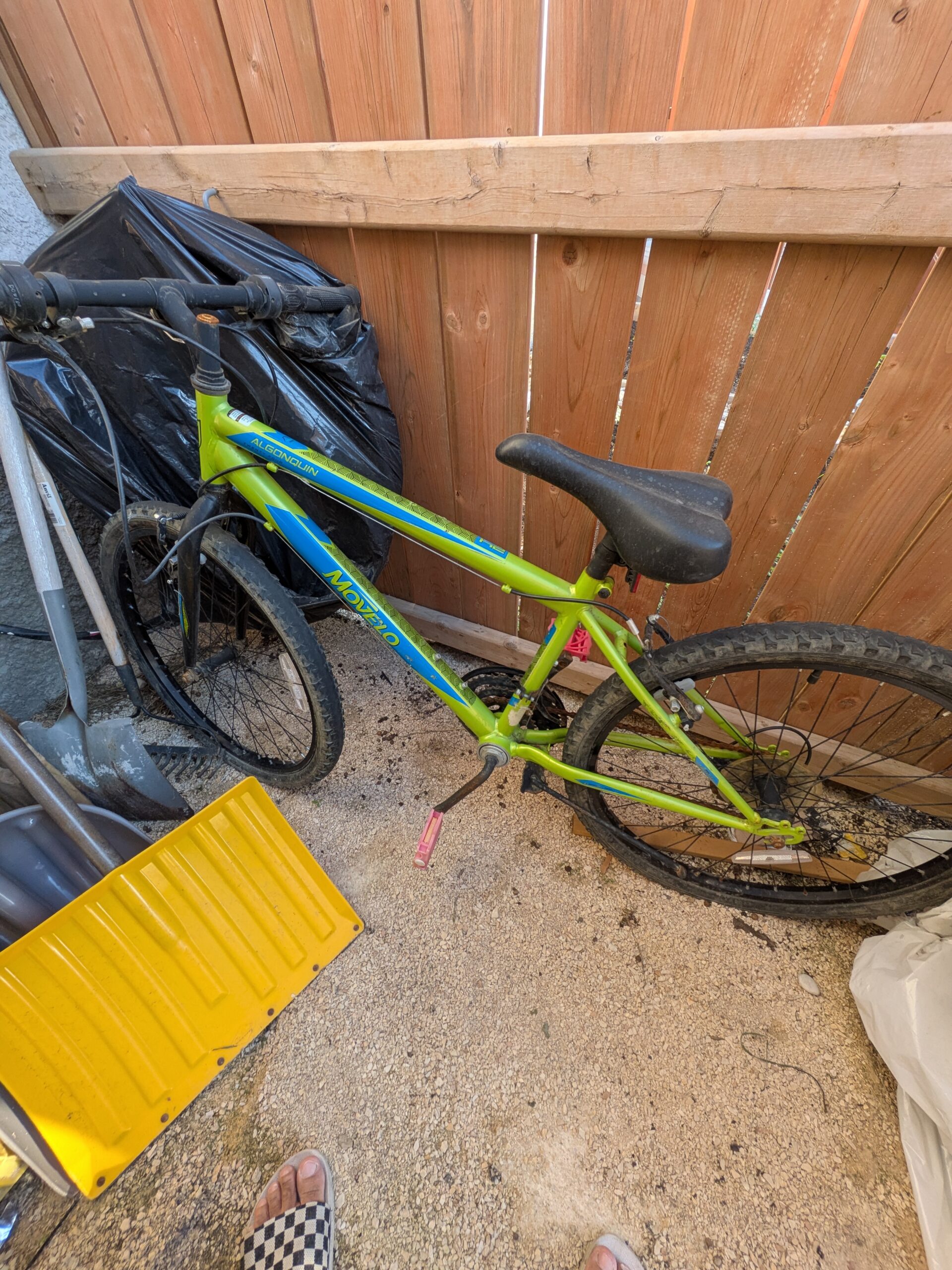 Free Bike